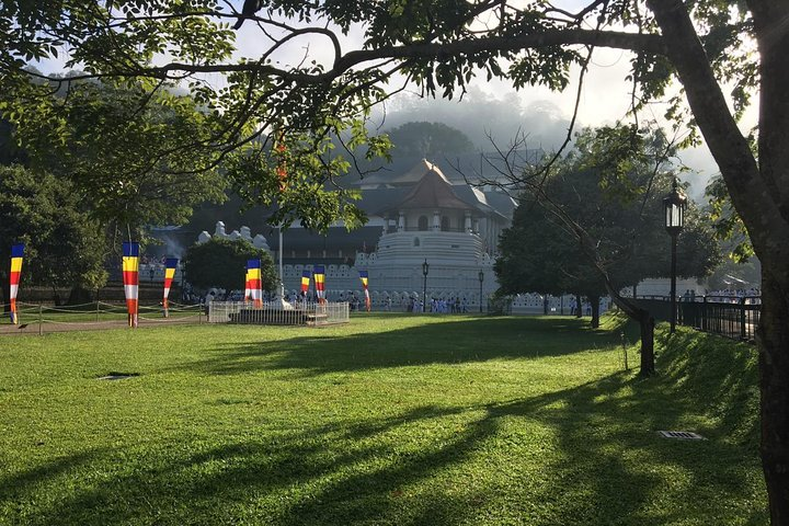 Cruise Ship Shore Excursions - Colombo Port - Kandy City Tour(UNESCO & heritage) - Photo 1 of 22